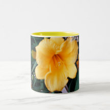 Hémérocalle jaune mugs