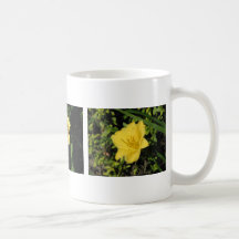 Hémérocalle jaune tasse