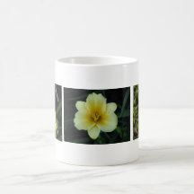 Hémérocalle jaune tasse