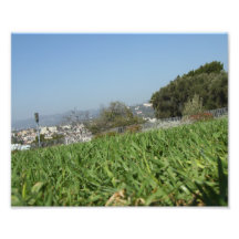 Herbe Photos D’art