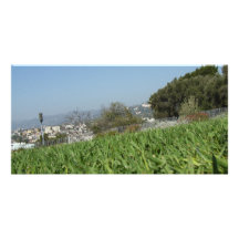 Herbe Cartes Avec Photo