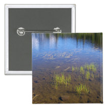 Herbe de lac picture badges