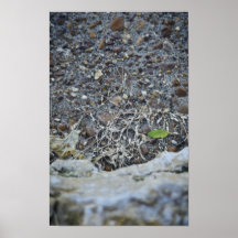 Herbe de Whispy Posters