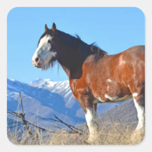 Herbe et montagnes de cheval autocollant