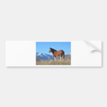 Herbe et montagnes de cheval autocollants pour voiture