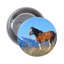 Herbe et montagnes de cheval badge
