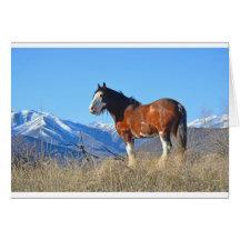 Herbe et montagnes de cheval cartes de vœux