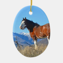 Herbe et montagnes de cheval ornements de noël