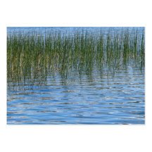 Herbes de lac cartes de visite professionnelles