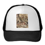 Hermia et Lysander Casquettes De Camionneur