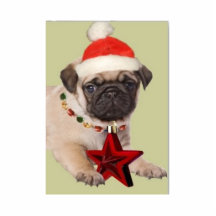 Heureux Noël ! Pug Photos En Relief