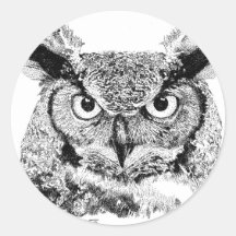Hibou à cornes autocollants