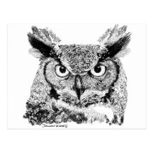 Hibou à cornes cartes postales