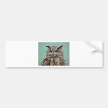 HIBOU ADHÉSIF POUR VOITURE