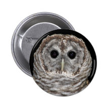 Hibou barré badges