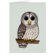 Hibou barré de bande dessinée cartes