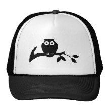 hibou casquette