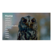 Hibou de Flammulated Modèle De Carte De Visite