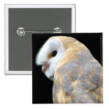 Hibou de grange badges avec agrafe