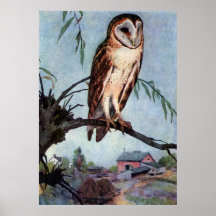 Hibou de grange, ferme et grange posters
