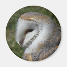 Hibou de grange magnets pour réfrigérateur