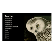 Hibou de Milou, John James Audubon Cartes De Visite Professionnelles