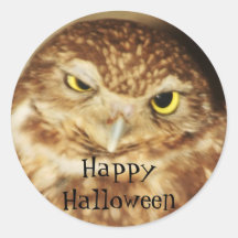 Hibou des autocollants heureux d'une partie de Hal