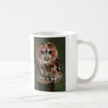 Hibou fauve de bébé mug à café