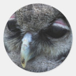 Hibou mignon adhésifs ronds