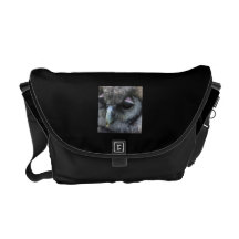 Hibou mignon besace
