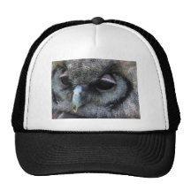 Hibou mignon casquettes de camionneur