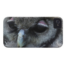 Hibou mignon coque Case-Mate iPhone 4
