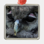 Hibou mignon ornements de noël