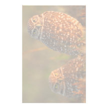 hibou papier à lettre personnalisé