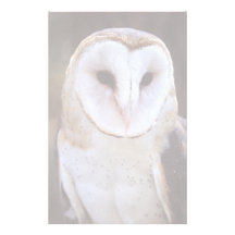 hibou papiers à lettres