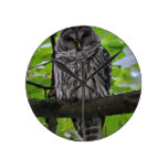 HIBOU PENDULE