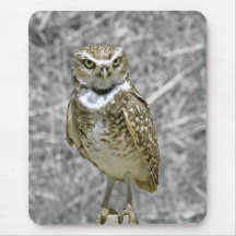 Hibou sur le courrier Mousepad Tapis De Souris