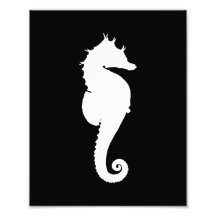 Hippocampe noir et blanc impression photographique