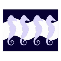 Hippocampes 3 carte postale
