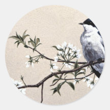 Hirondelle d'arbre adhésifs