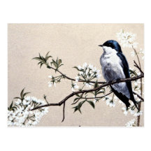 Hirondelle d'arbre carte postale