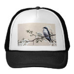 Hirondelle d'arbre casquette