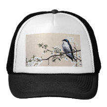 Hirondelle d'arbre casquette