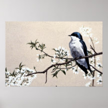 Hirondelle d'arbre posters