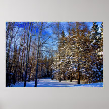 Hiver au Maine Affiches