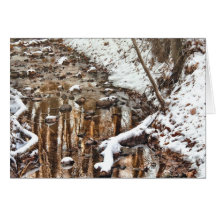 Hiver - harmonie de natures carte
