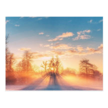 Hiver l'Postcard Carte Postale