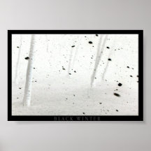 Hiver noir poster