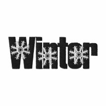 HIVER POLO