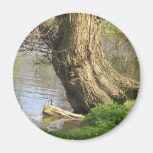 Homme d'arbre aimant